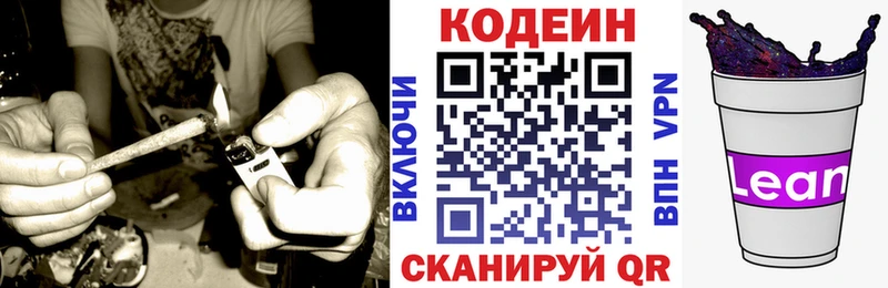 Купить  Жиздра  Кодеиновый сироп Lean Purple Drank 