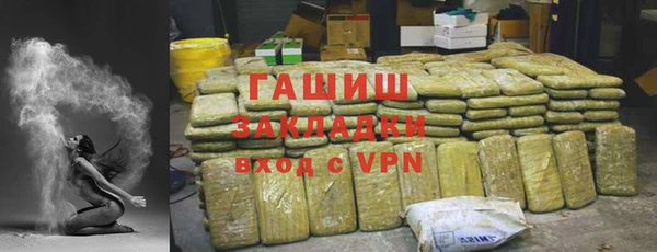 соль ск Инсар