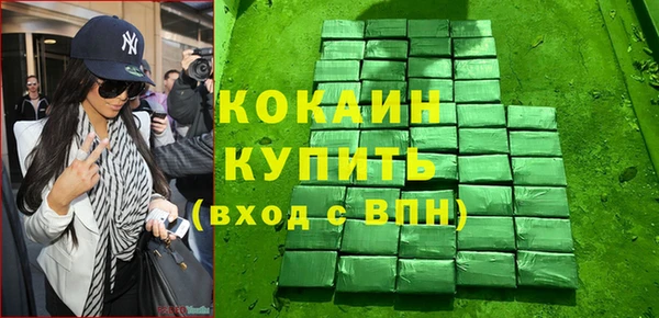 соль ск Инсар