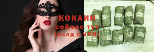 ешки Инта