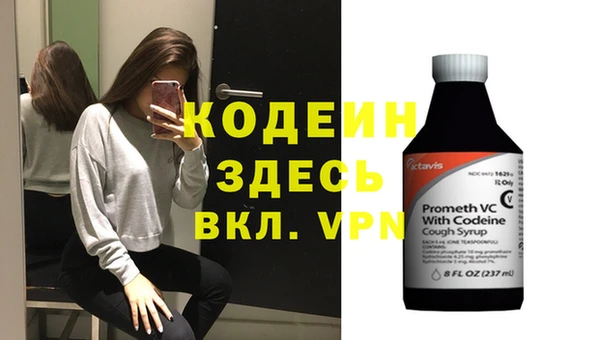 сатива Иннополис