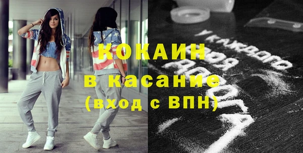 сатива Иннополис