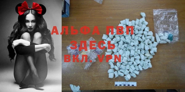 ешки Инта