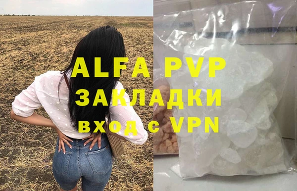 ешки Инта